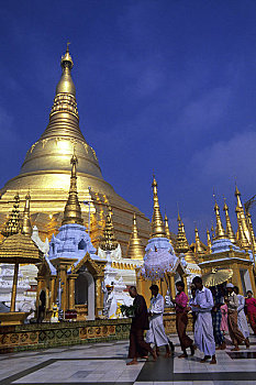 缅甸,仰光,大金塔,队列,佛教,宗教