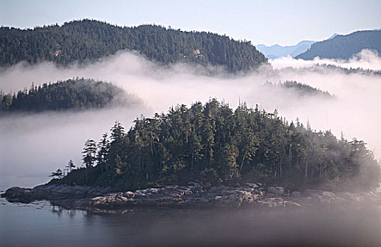 加拿大,不列颠哥伦比亚省,笔直,区域,俯视,岛屿,雾气