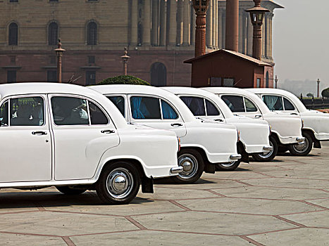 排,白色,汽车,德里,印度