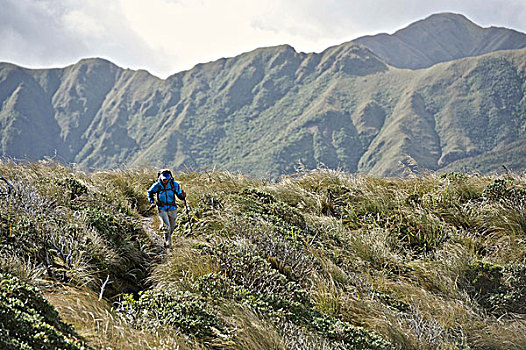 女性,远足,山,山脊,新西兰