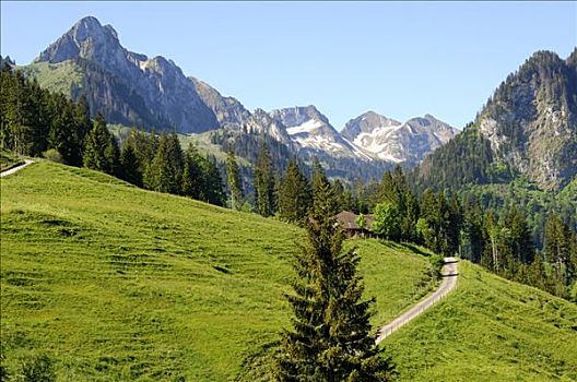 山,风景,阿尔卑斯山,瑞士
