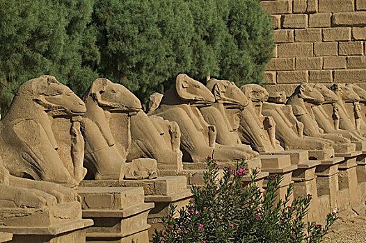 道路,狮身人面像,卡尔纳克神庙,埃及