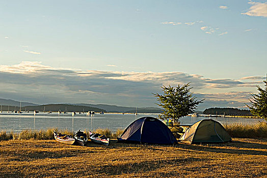 露营,漂流者,休息,帐篷,岛屿,不列颠哥伦比亚省,加拿大