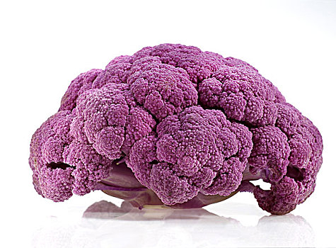 紫色,花椰菜,芸苔,白色,背景