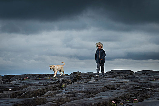 男孩,岩石上,宠物,拉布拉多犬,狗,杜林,爱尔兰