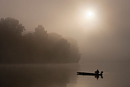 渔民,河,雾状,早晨,匈牙利