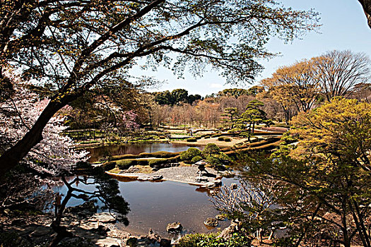 景色,装饰,湖,东方,花园,皇宫,东京,日本
