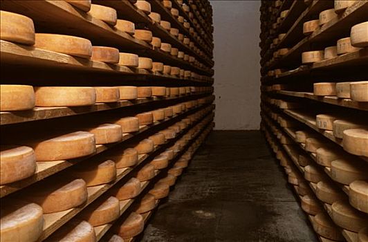 奶酪,存储,巴伐利亚