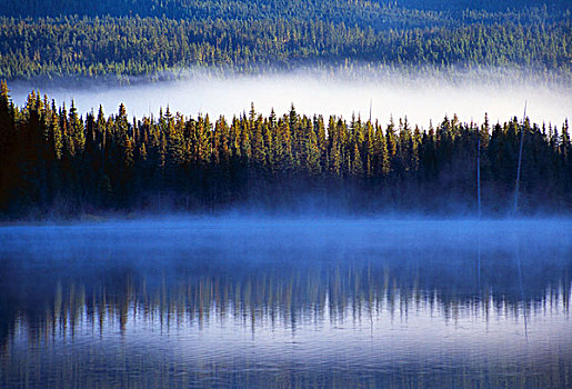 雾,反射,延龄草,湖,胡德山国家森林