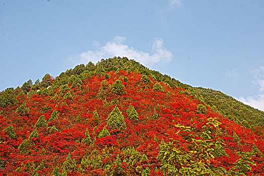 陕西凤县秦岭