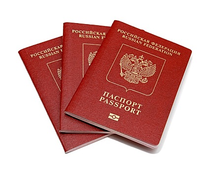 俄罗斯,护照,隔绝,白色背景,背景