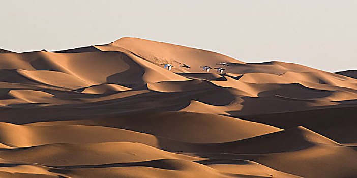 沙丘沙漠曲线的完美组合
