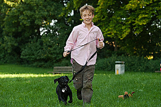 男孩,拉布拉多犬,小动物,草地