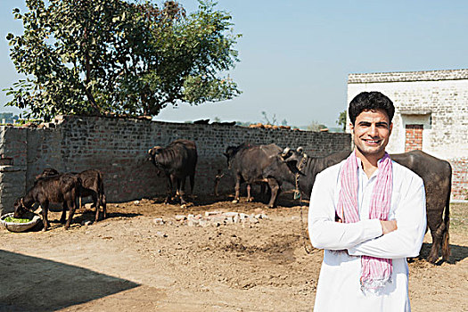 农民,站立,脱落,水,水牛,背景,印度