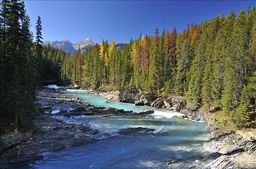 河,班芙国家公园,艾伯塔省,加拿大,北美