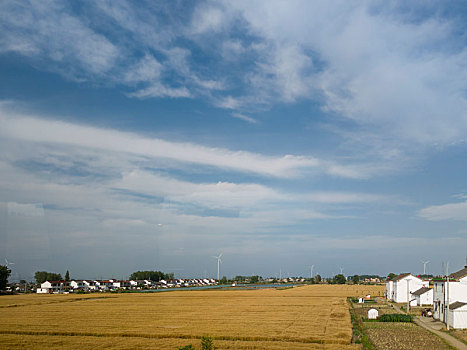 夏日苏北田园风光