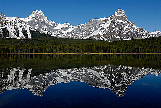 顶峰,攀升,卡夫拉,右边,反射,水禽,湖,班芙国家公园,落基山脉,艾伯塔省,省,加拿大,北美