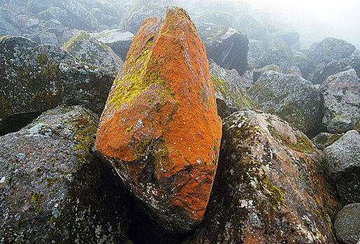 海螺沟红砂石