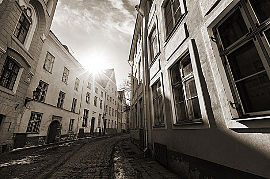 单色调,照片,街道,风景,老城,塔林,爱沙尼亚