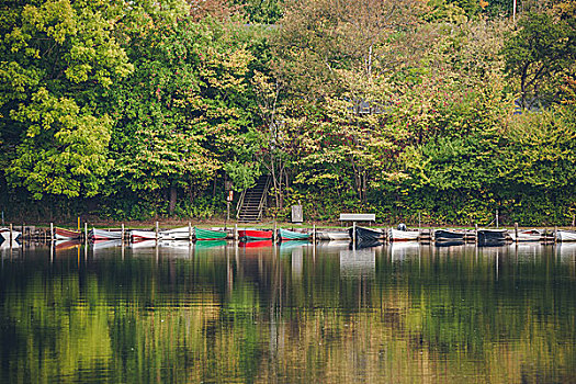 船,划船,湖,围绕,绿色,树,反射,水