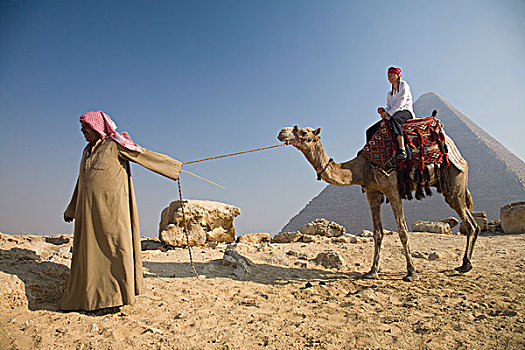 女青年,游客,骆驼,引导,吉萨金字塔,开罗,埃及