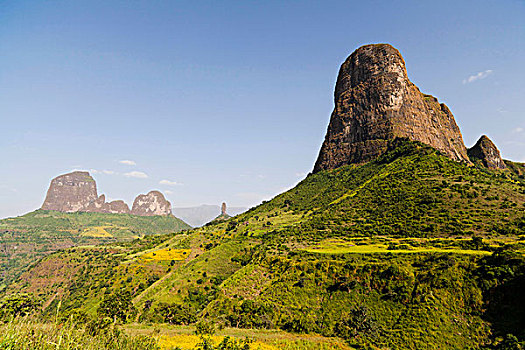 山岗,靠近,山,埃塞俄比亚