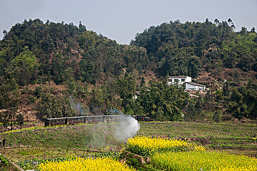 行驶在四川乐山市犍为县嘉阳小火车菜子坝站间的小火车