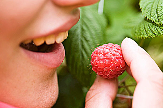 女人,吃,树莓