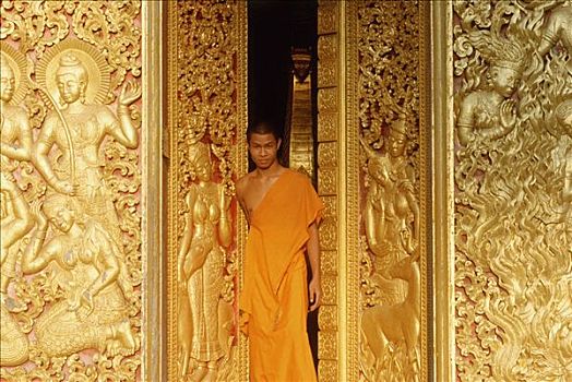 老挝,琅勃拉邦,年轻,僧侣,站立,入口,庙宇