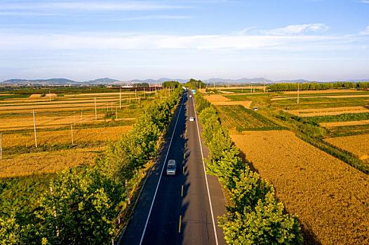 乡间公路