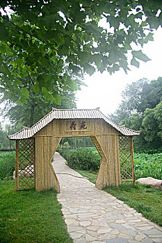 郑州西流湖公园荷花园