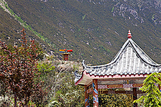 林芝,尼洋河风光,草原,西藏