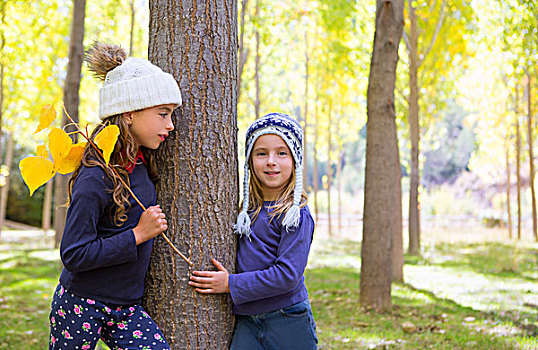 秋天,姐妹,儿童,女孩,玩,白杨,树林,靠近,树干,自然,户外