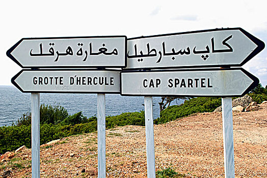交通标志,帽,丹吉尔,摩洛哥,北非