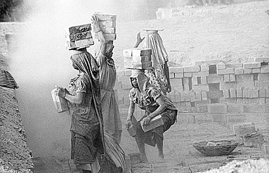 工作,女人,包着,尘土,环境,印度