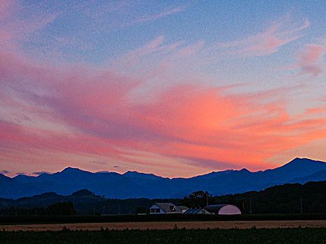 北海道,夏天