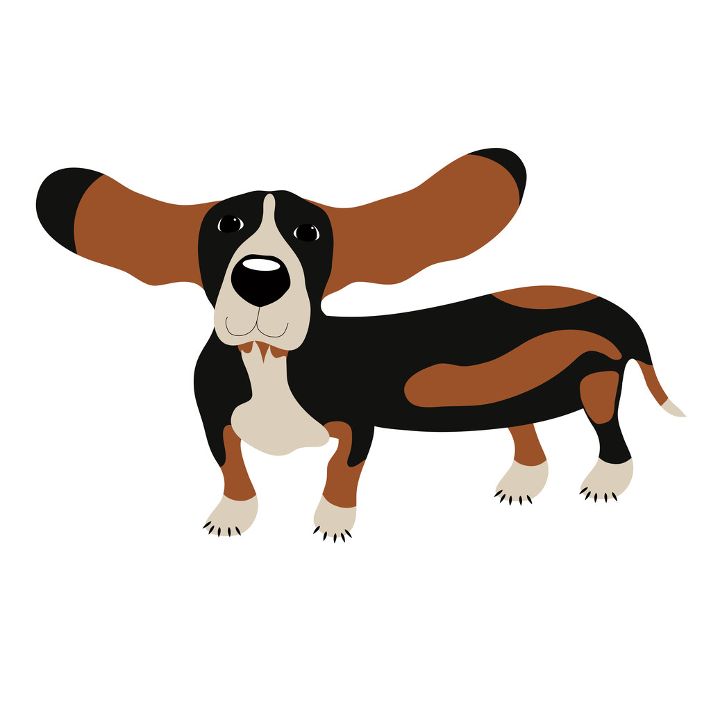 大耳朵的狗动画图片