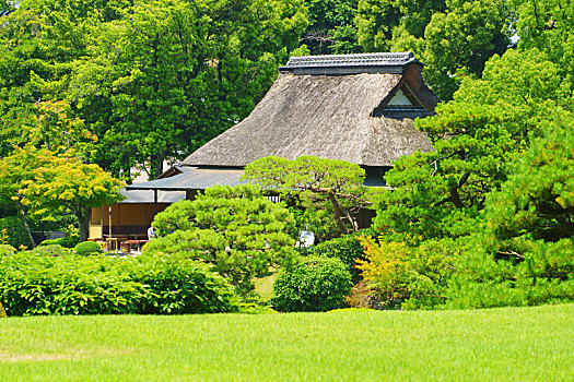 传统,日本,老,房子