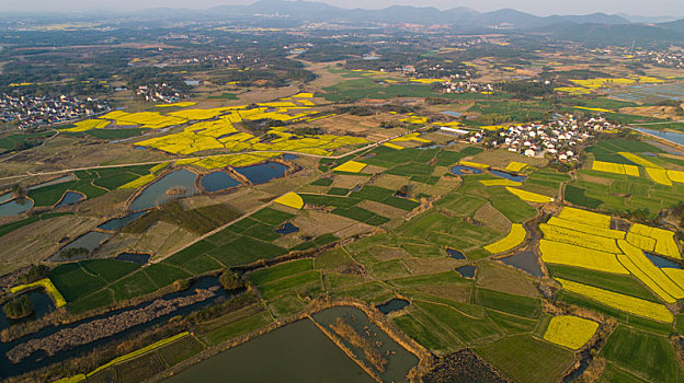 田园春色