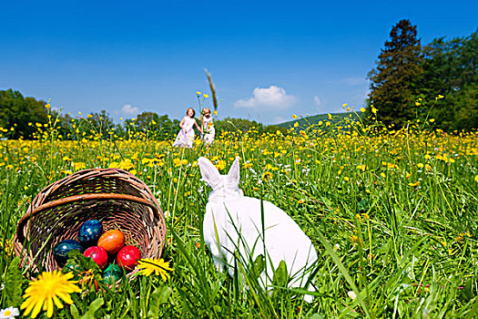 复活节兔子,蛋,草地,春天,两个孩子,背景