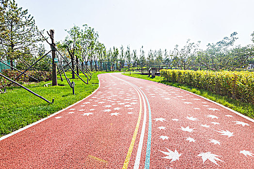 清晨阳光里公园跑道