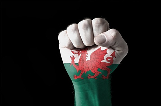 拳头,涂绘,彩色,威尔士,旗帜