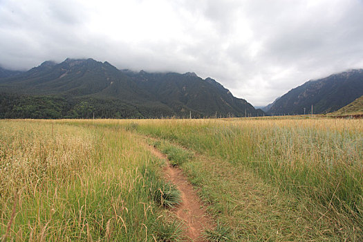 甘肃肃南马蹄寺风景区