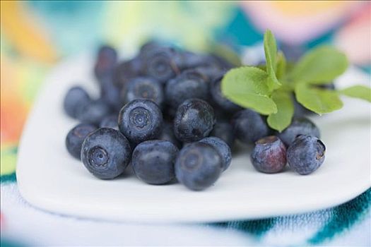 蓝莓,盘子