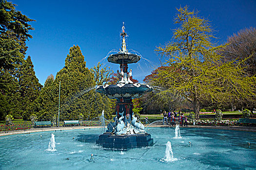 孔雀,喷泉,植物园,坎特伯雷,南岛,新西兰