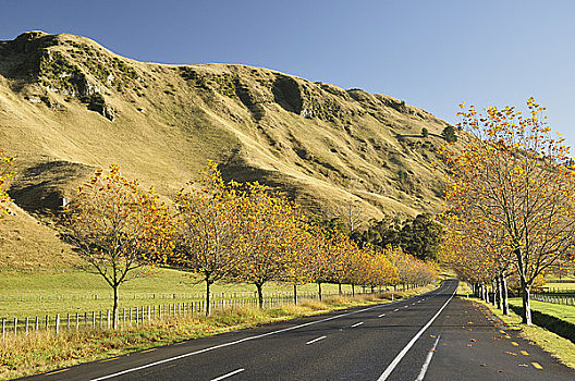 道路,霍克斯湾,北岛,新西兰