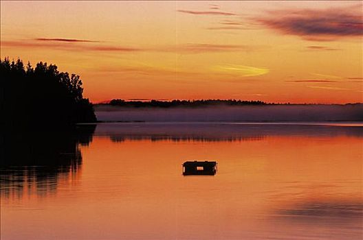 湖,日落,树,瑞典,斯堪的纳维亚,欧洲