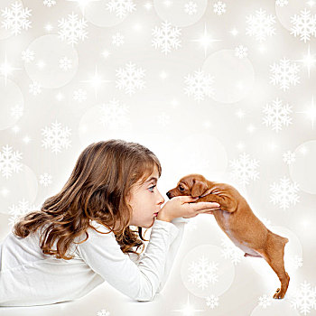 圣诞节,孩子,女孩,搂抱,小狗,褐色,狗