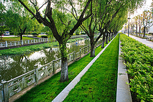 护校河,小河,绿化