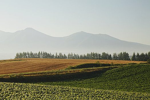 山,日出